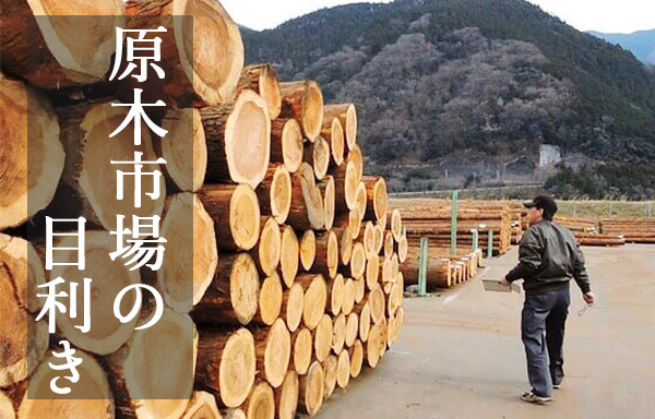 原木市場の原木目利き