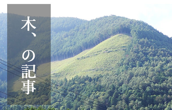 木の記事